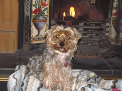 nove 2012 069.JPG