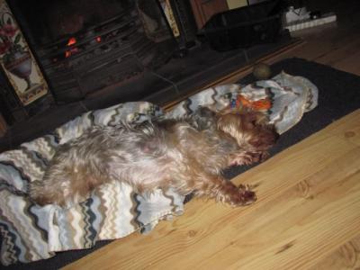 nove 2012 077.JPG