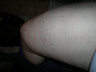 DSCN5115.JPG
