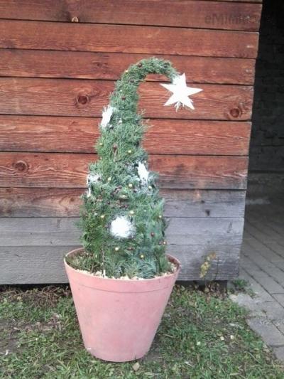 Velký stromek-Lenka.jpg