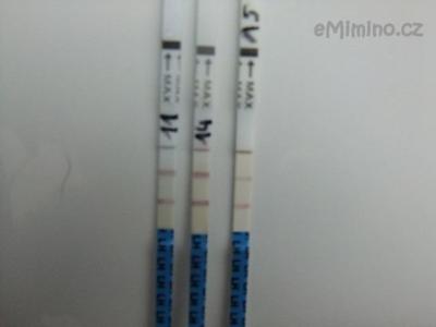 DSCF9721.JPG