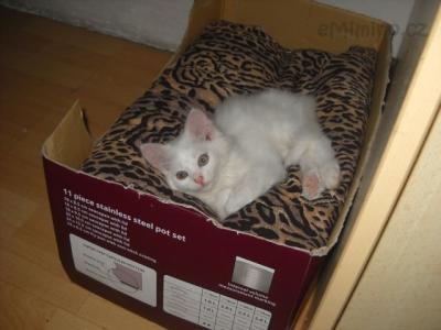 DSCN5914.JPG