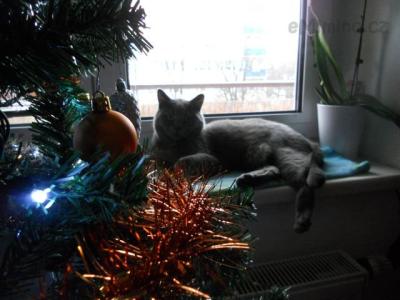 DSCN1418.JPG