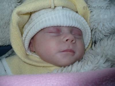 VKocare_28112012.jpg