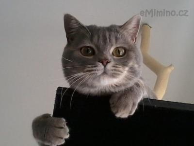 2012-09-10 09.45.48.jpg