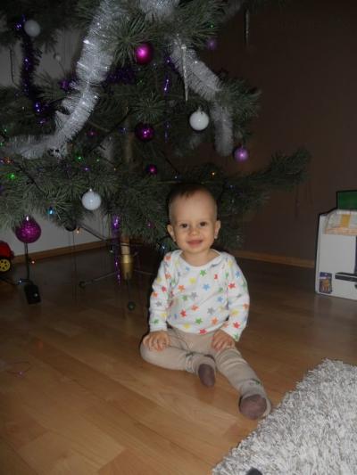Vánoce 2012 088.jpg