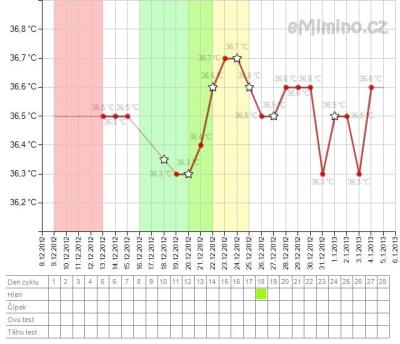 temperaturegraph13.jpg