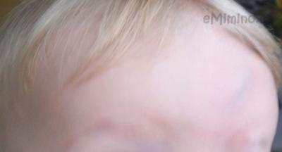 100_4161.jpg