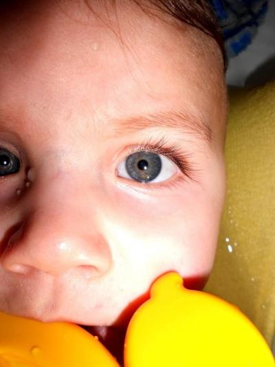 DSCN5163.jpg