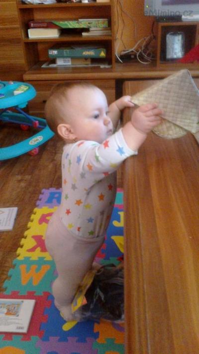 2012-12-01-131.jpg