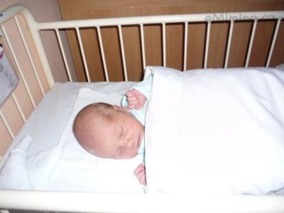 foto 006.jpg