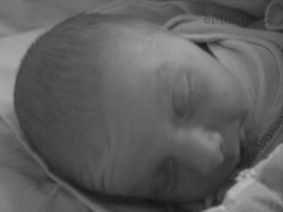 Fotografie1204.jpg