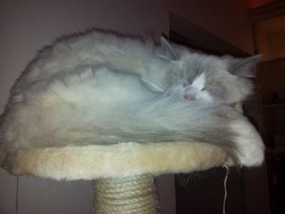 2012-12-15 18.17.03.jpg