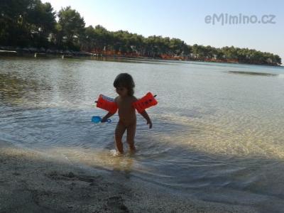 20120731_084600.jpg