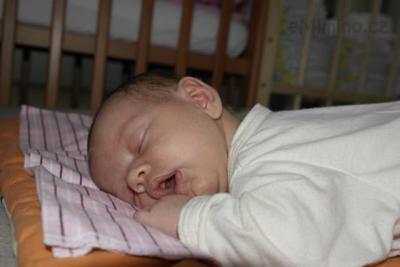Vivien0364.jpg