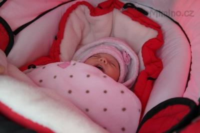 Vivien0529.jpg