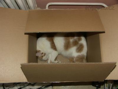 PICT0001.JPG