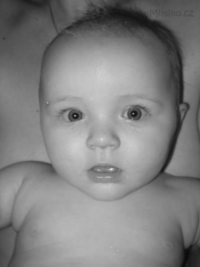 DSC00199.JPG
