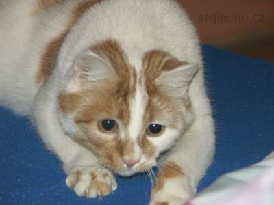 PICT0001.JPG