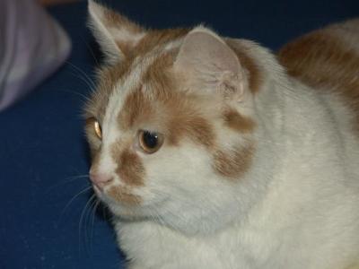 PICT000211.JPG