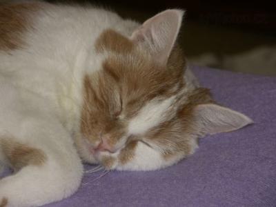 PICT00112.JPG