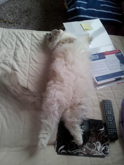 20130129_114936.jpg
