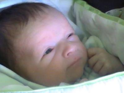 26.1.2013 038.JPG