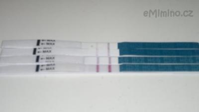 2012-11-01-699.jpg