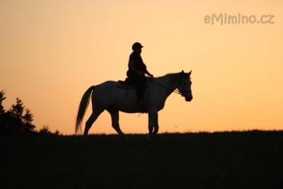 IMG_7913.jpg