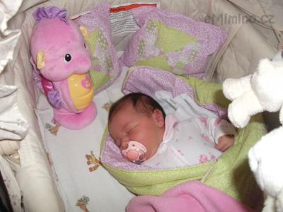 DSCF5130.JPG