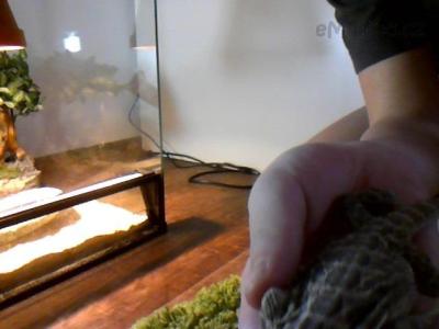 Snapshot_20130211_3.JPG