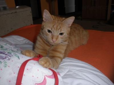 Charlie