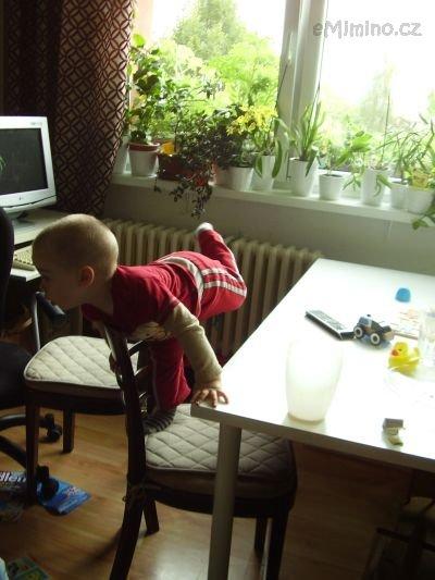 holubička.jpg