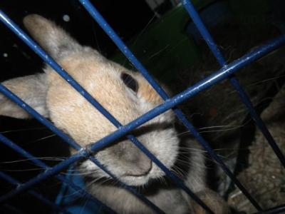 IMGP0037.JPG