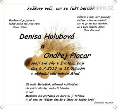 Bez názvu.bmp