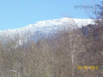 zimaa 022.jpg