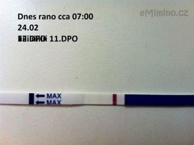 fotka (1).JPG