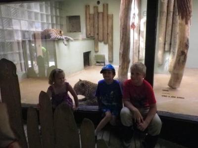 neteř Vanesa, Viktor, Mirek