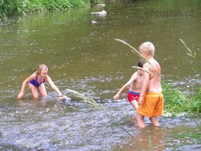 neteř Vaneska, Viktor, Mirek