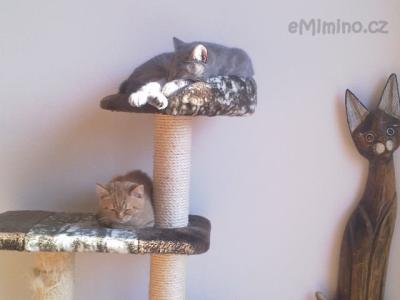 2012-11-14-006.jpg