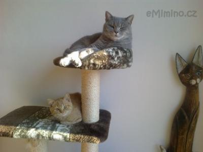 2012-11-14-008.jpg
