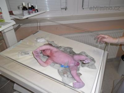Snímek 001.jpg