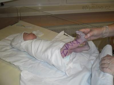 Snímek 004.jpg