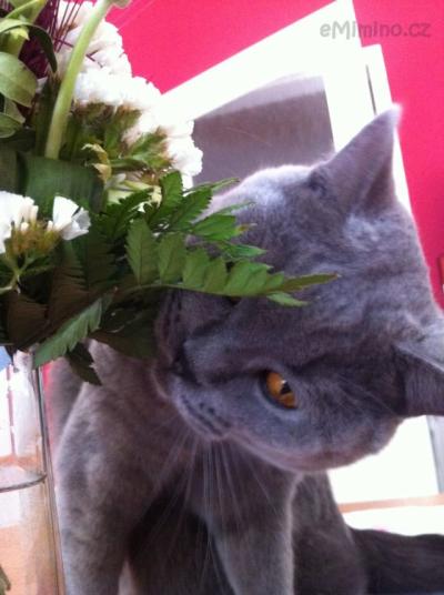 2013-03-17 12.05.57.jpg