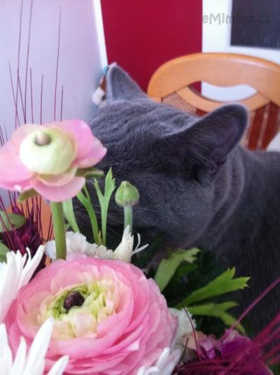 2013-03-17 12.04.46.jpg