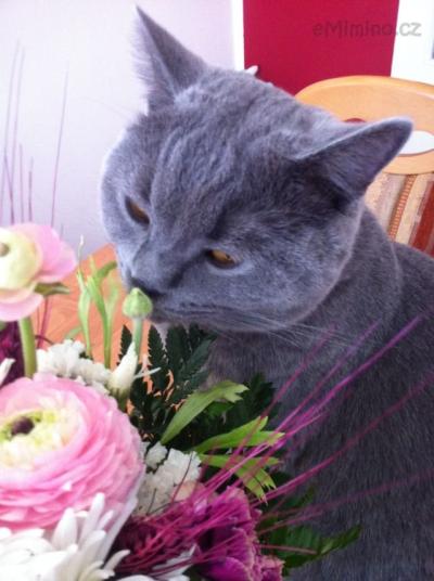 2013-03-17 12.05.50.jpg