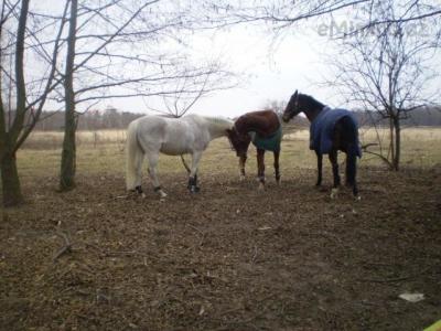 Wind, Merlin a Antonio