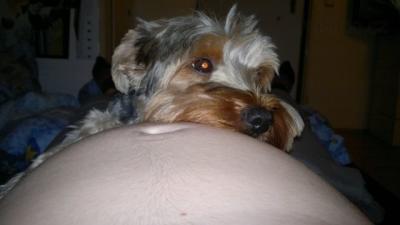 2013-03-15-994.jpg