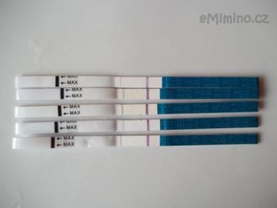 101_0002.JPG