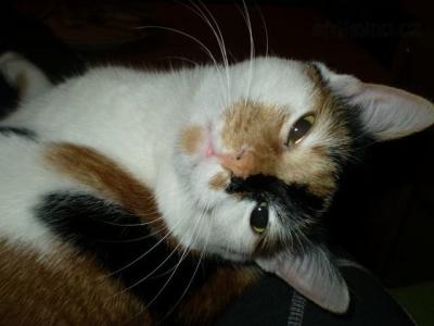 Mignon 2009 007.JPG